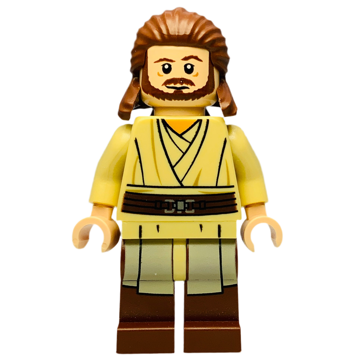 Qui-Gon Jinn, sw0593