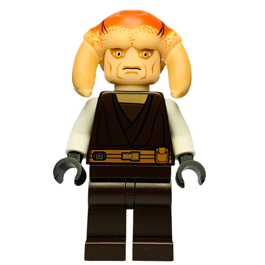 Saesee Tiin, sw0308 - LEGO® Star Wars Minifigure