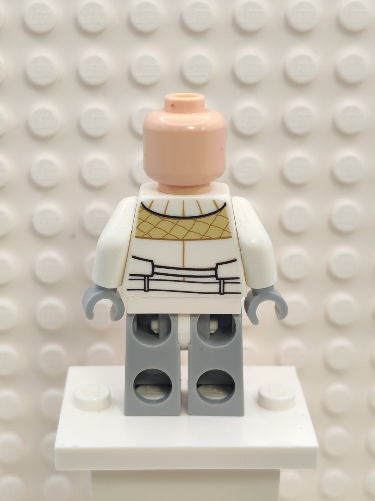 Hoth Rebel Trooper, sw0734