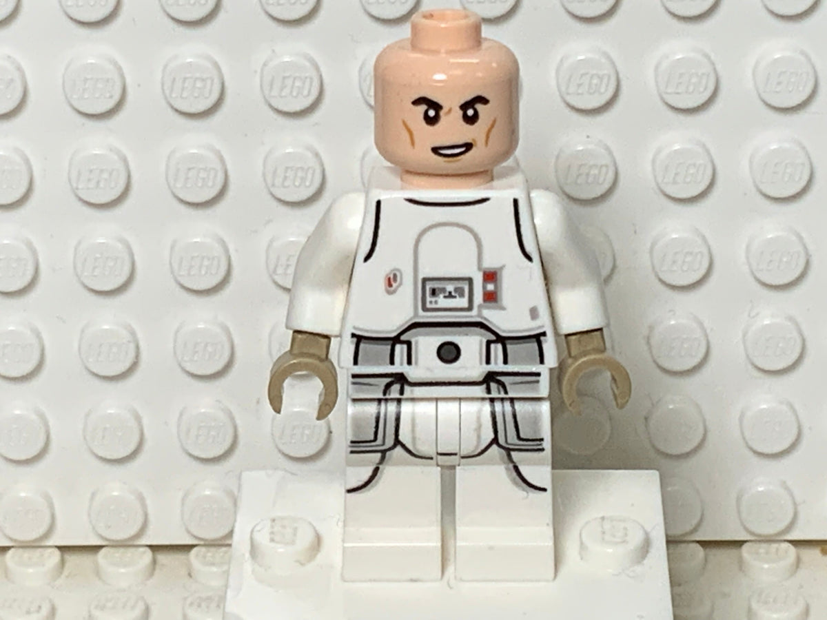 Snowtrooper, sw1181