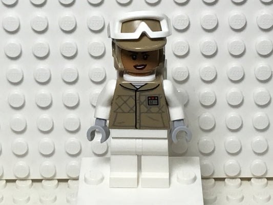 Hoth Rebel Trooper, sw1185
